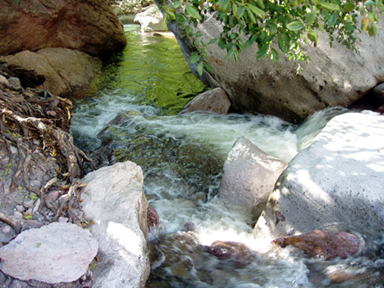 Whitewater Canyon rapids