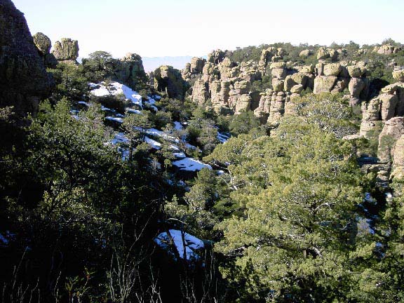 Chiricahua Mountains