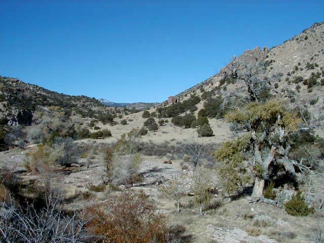 Gila Wilderness